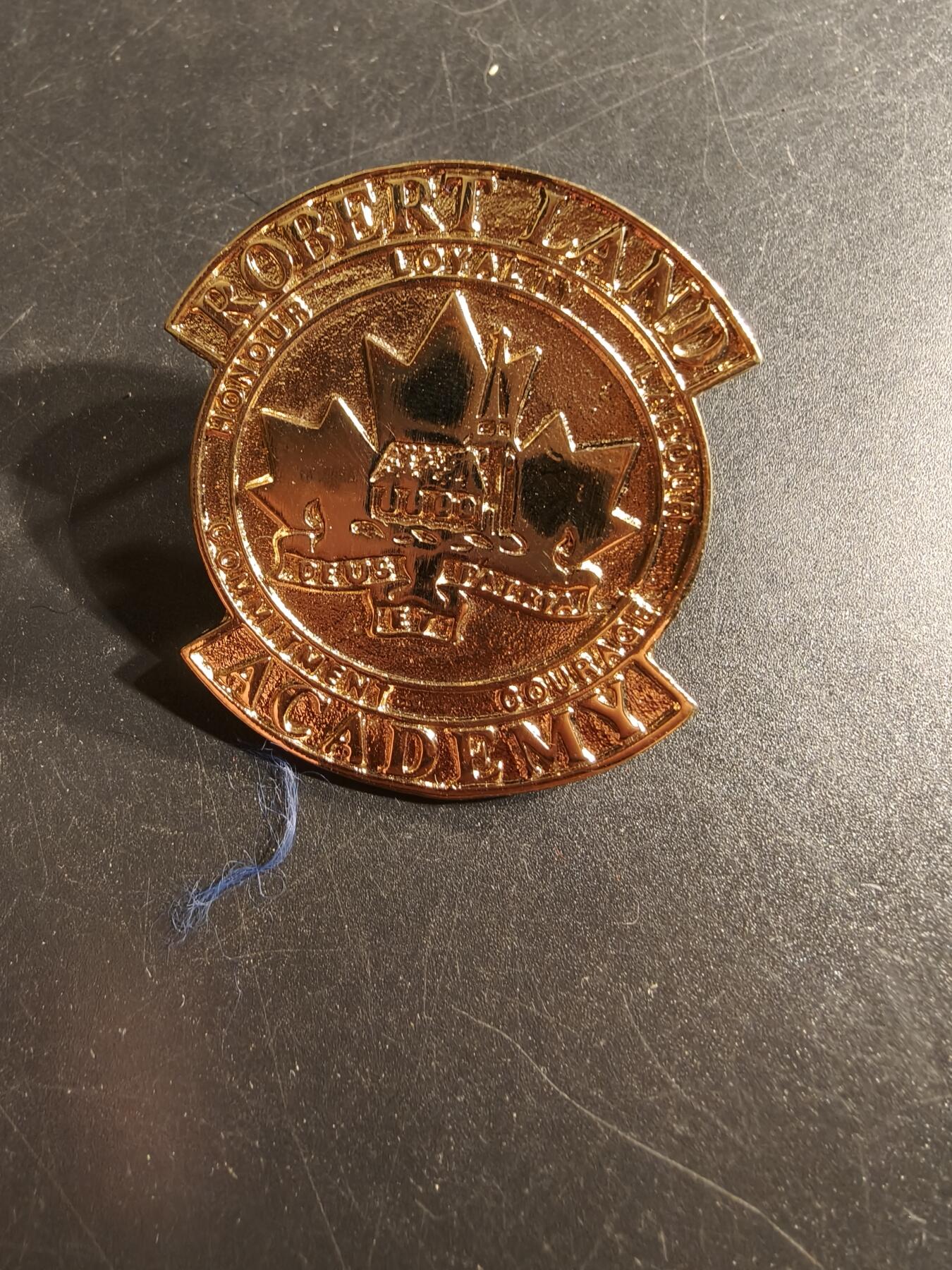 老王徽章第165期 美国罗伯特兰德军事学院大檐帽帽徽 