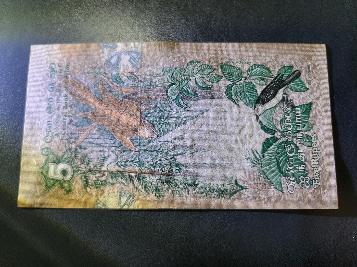 11月29号晚上8点 外国纸币自动截拍第64场