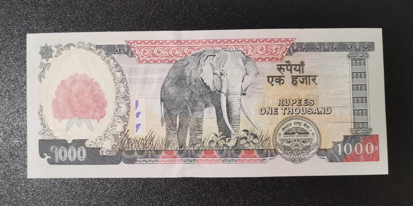 《艾美收藏》第221期-11.23周日黄金场精品荟萃 尼泊尔2008年1000卢比最高值UNC 珠穆朗玛峰 大红花 背面大象 Pick#67b