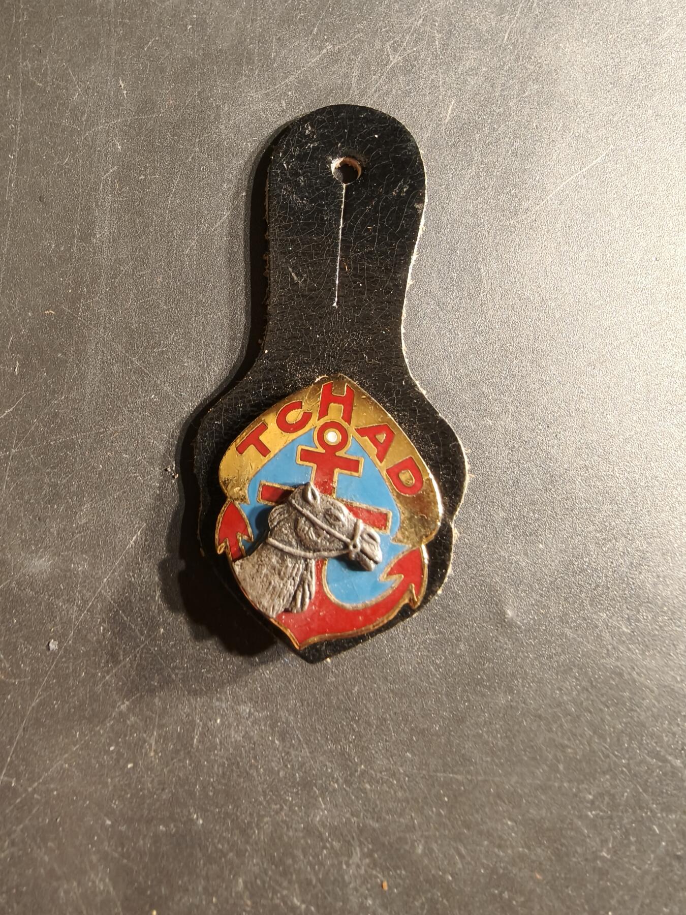 老王徽章第165期 法国乍得行军团证章 