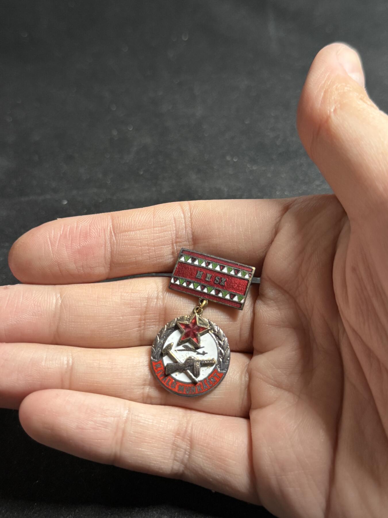 戎马世界章牌大赏第108期 匈牙利国防协会杰出奖章