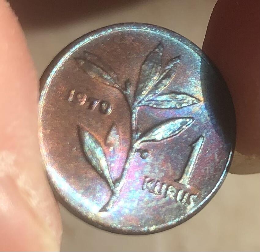 土耳其安塔利亚的新娘九枚大全套