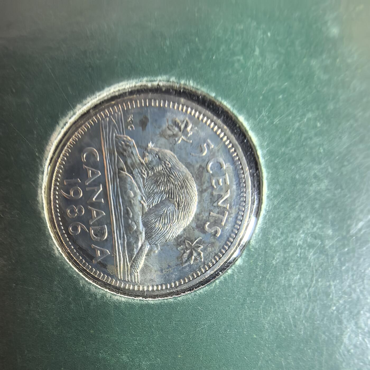 泡泡币外币第三十四场可代拍15038385335微信