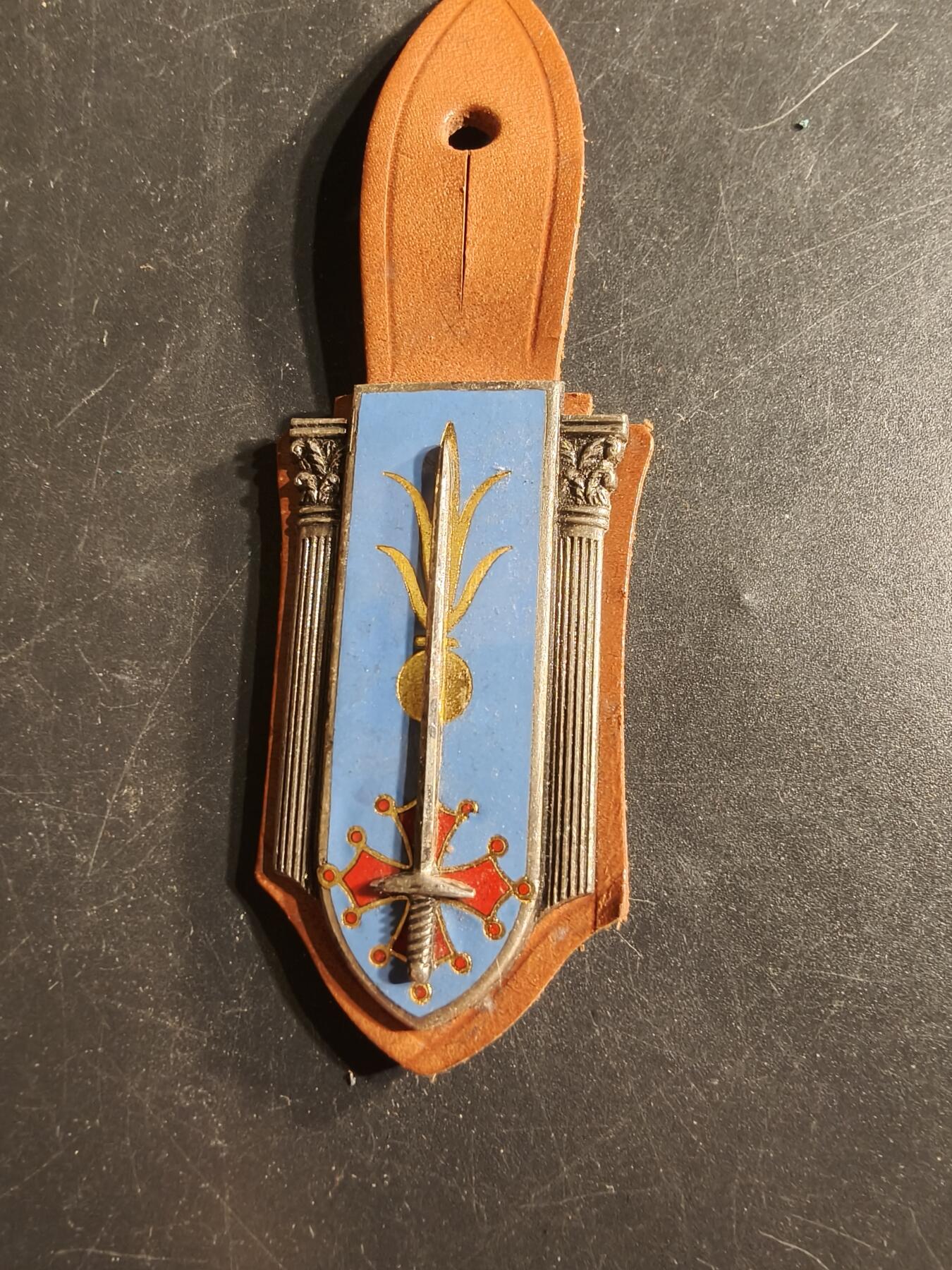 老王徽章第165期 法国步兵专业学校证章 