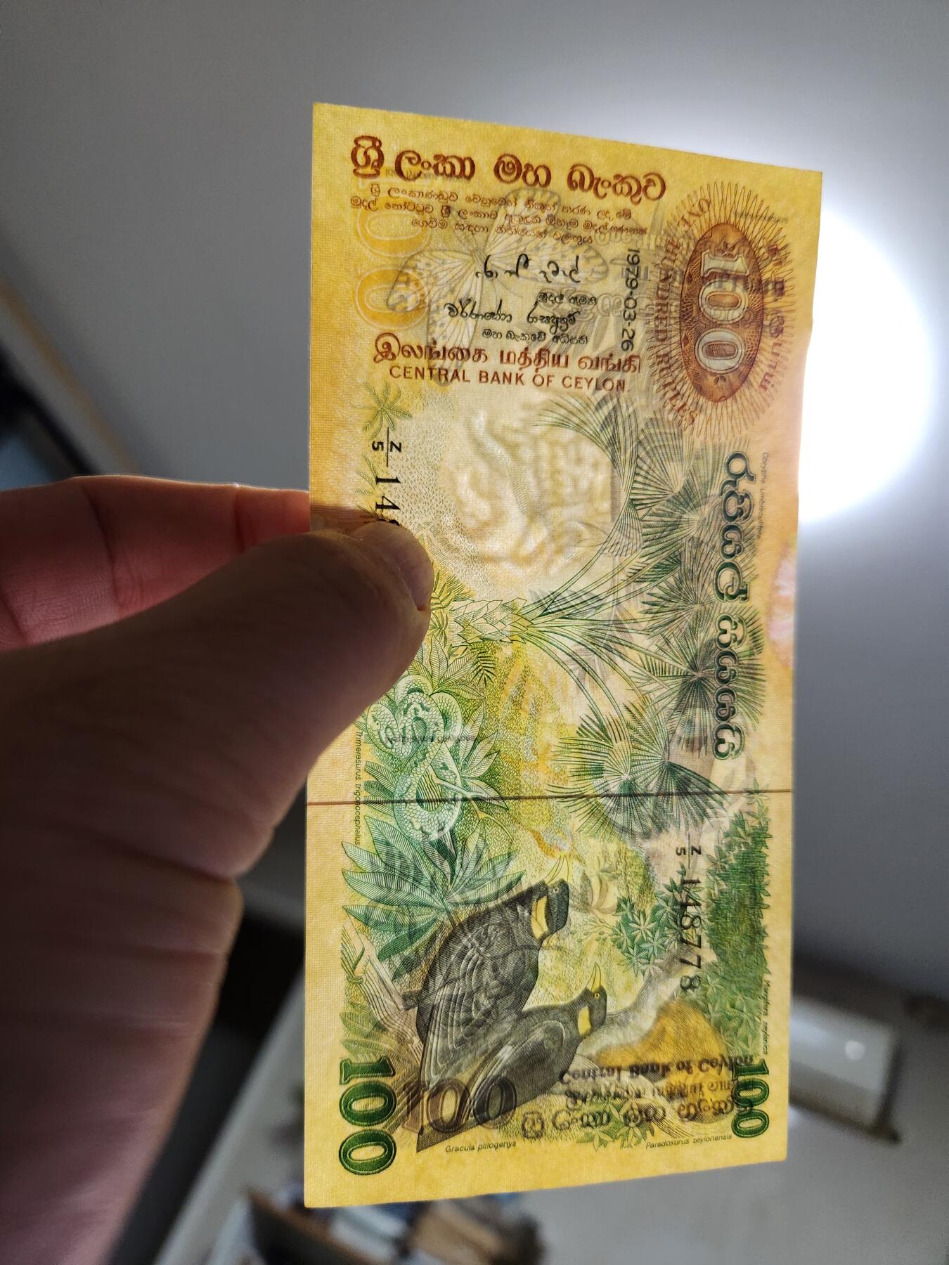 11月29号晚上8点 外国纸币自动截拍第64场