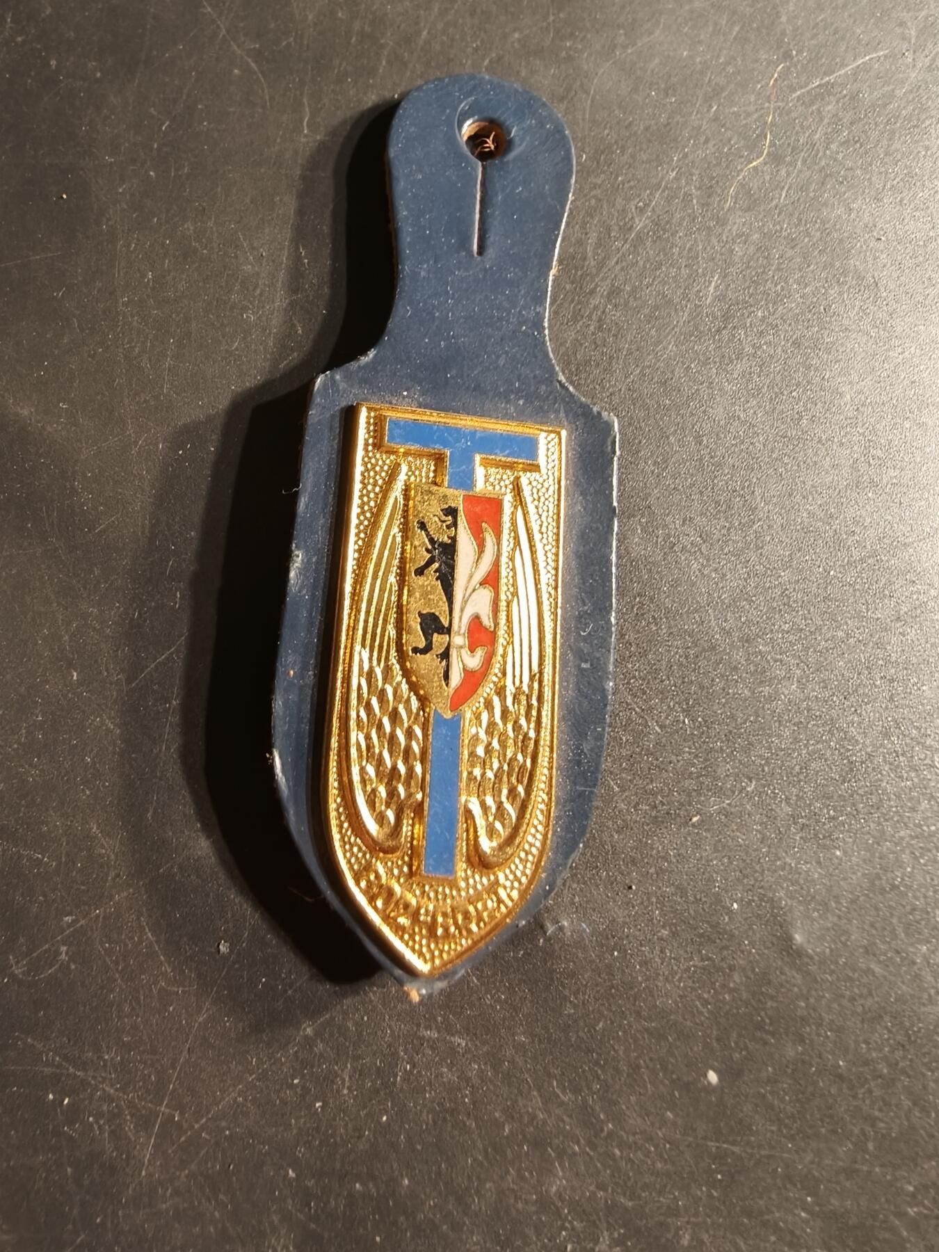 老王徽章第165期  法国陆军第802地区传输开发小组证章