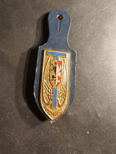 老王徽章第165期 -  法国陆军第802地区传输开发小组证章
