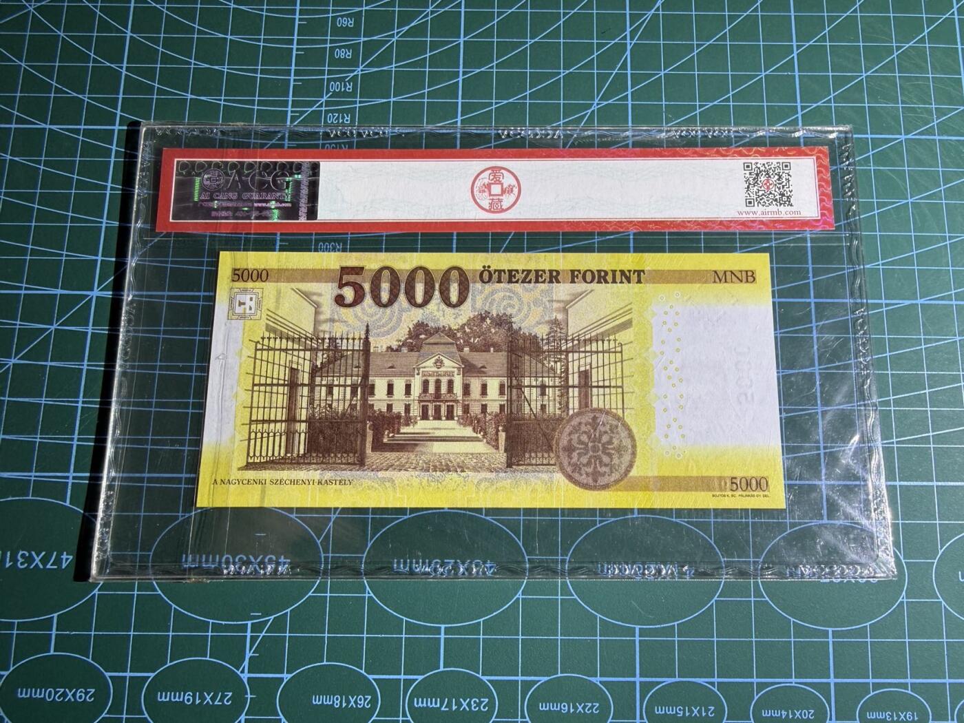 【炜奕收藏】，第五十一期