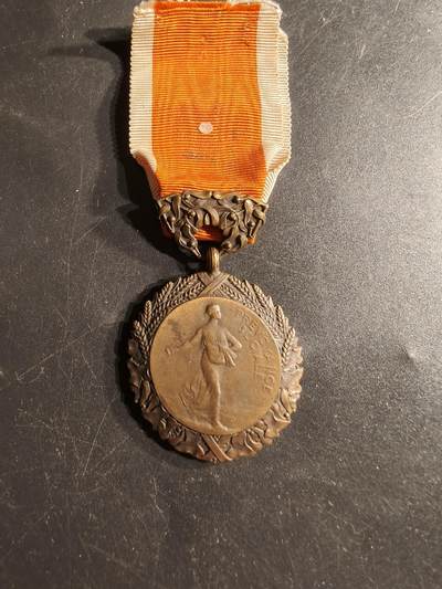 老王徽章第165期 - 法国铜级卫生部互助奖章 