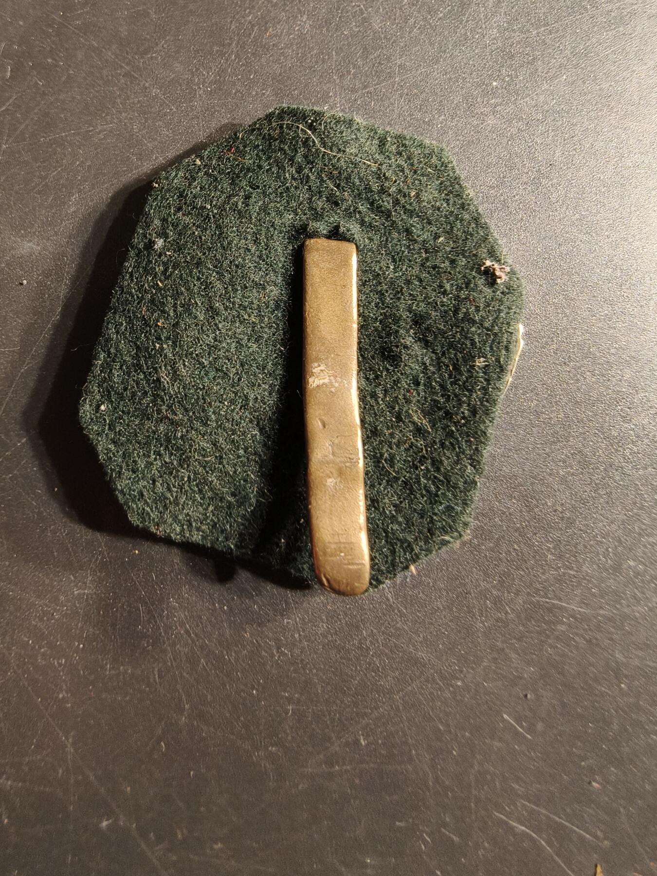 老王徽章第165期