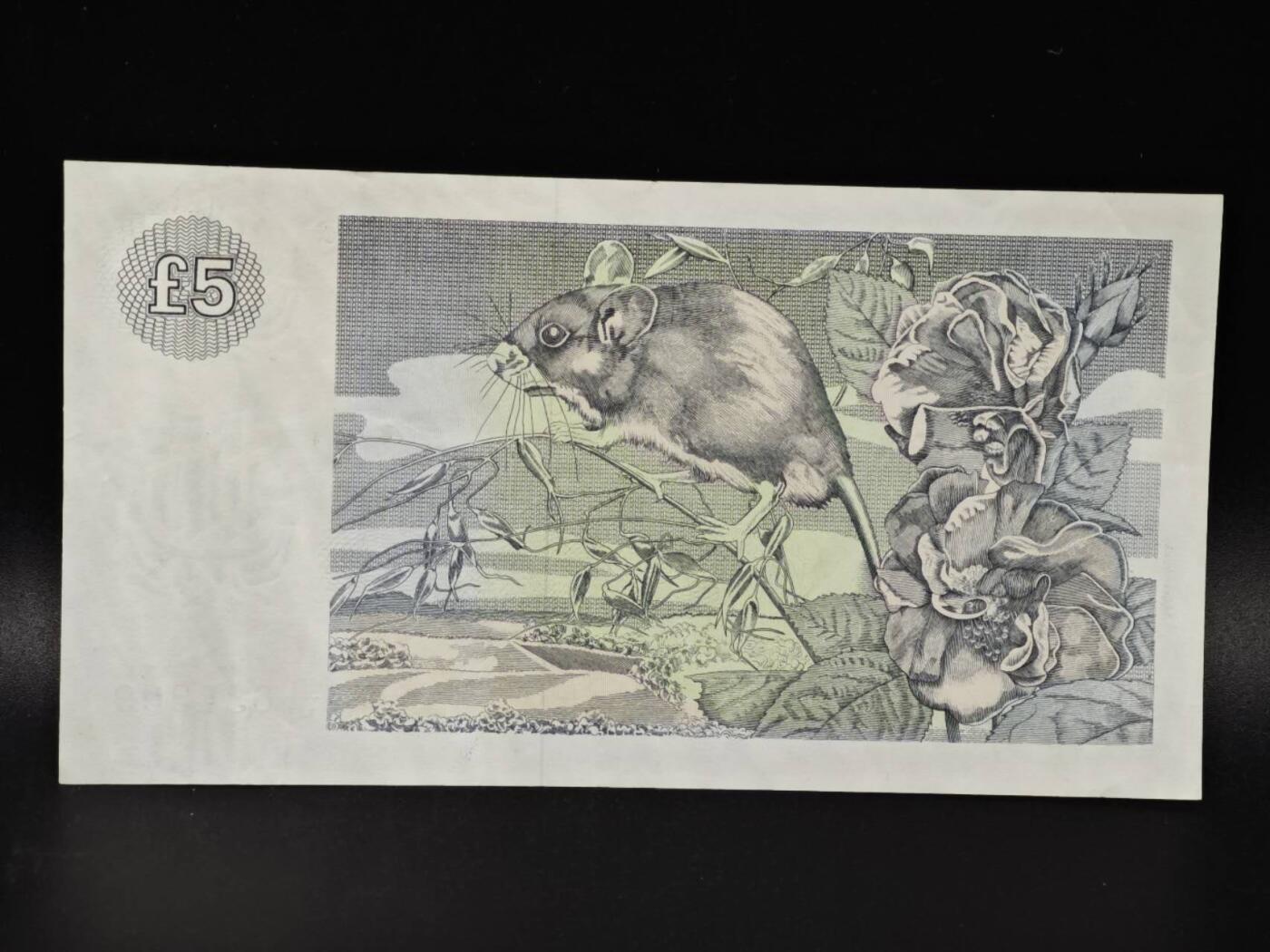 【淘币小摊】限时拍第八百零五拍  纸币场  满百包邮可预留两周  周一统一发货  克莱玆戴尔银行1988年5镑纸币【有折】