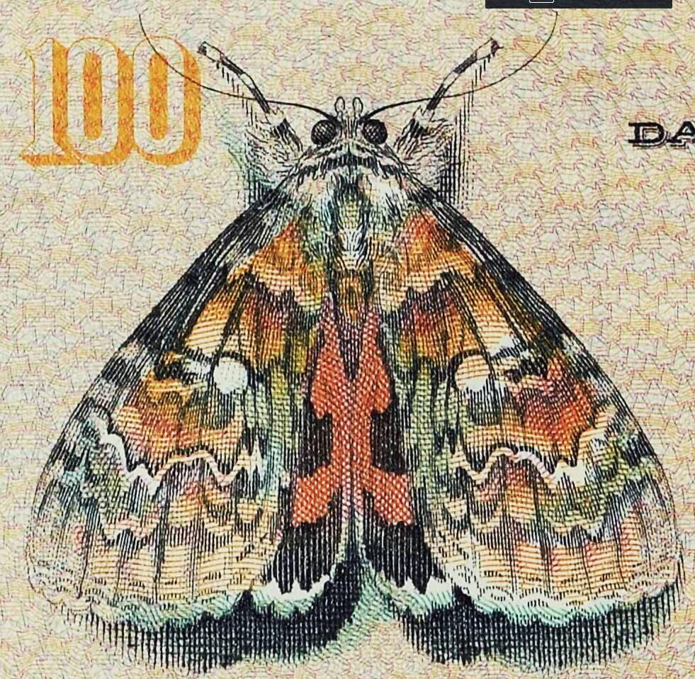 《艾美收藏》第221期-11.23周日黄金场精品荟萃 丹麦1998年G0关门冠100克朗PMG68E唯五冠军分 飞蛾 Pick#54i  严评时期经典壳