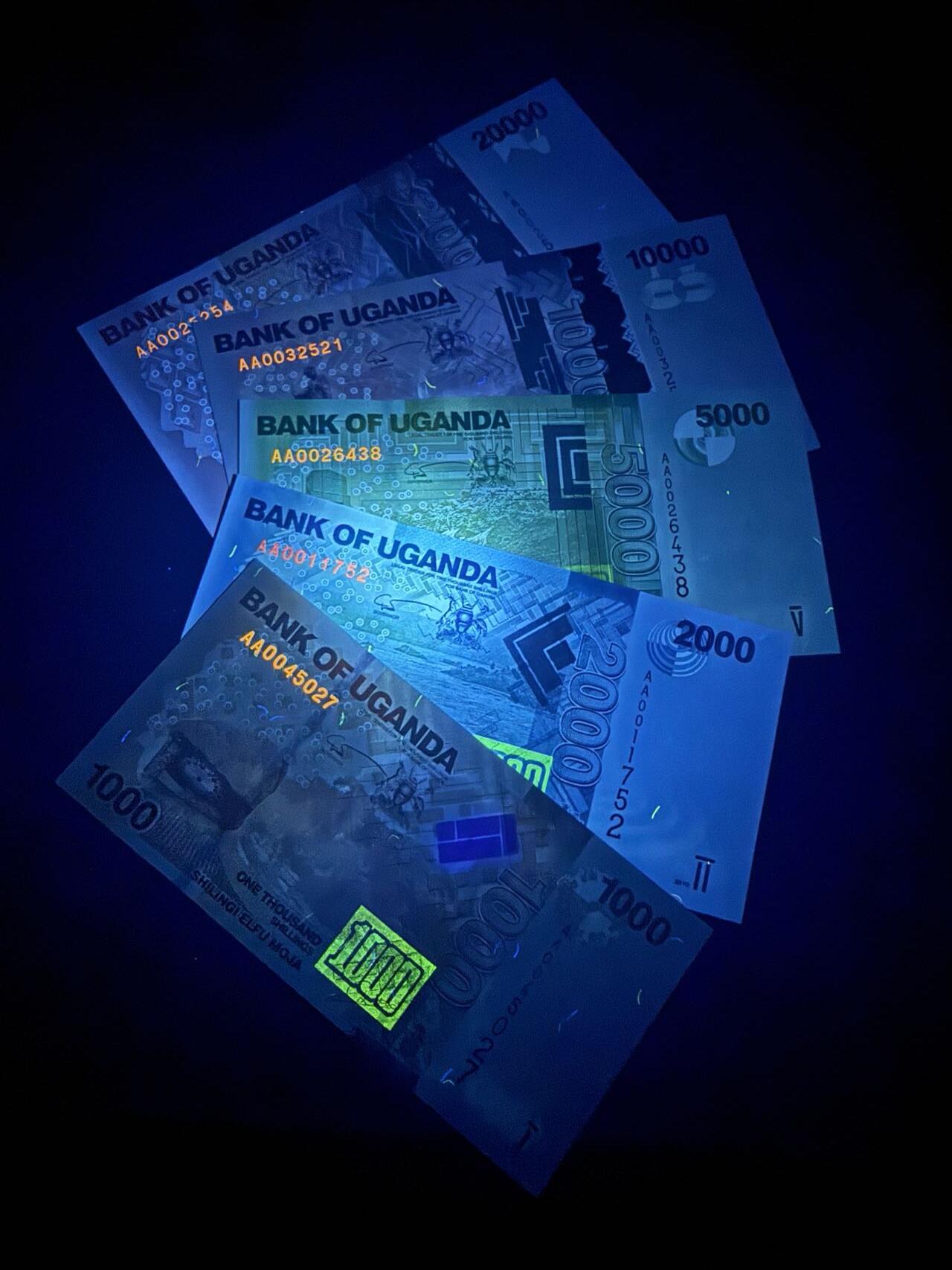 【炜奕收藏】，第五十一期