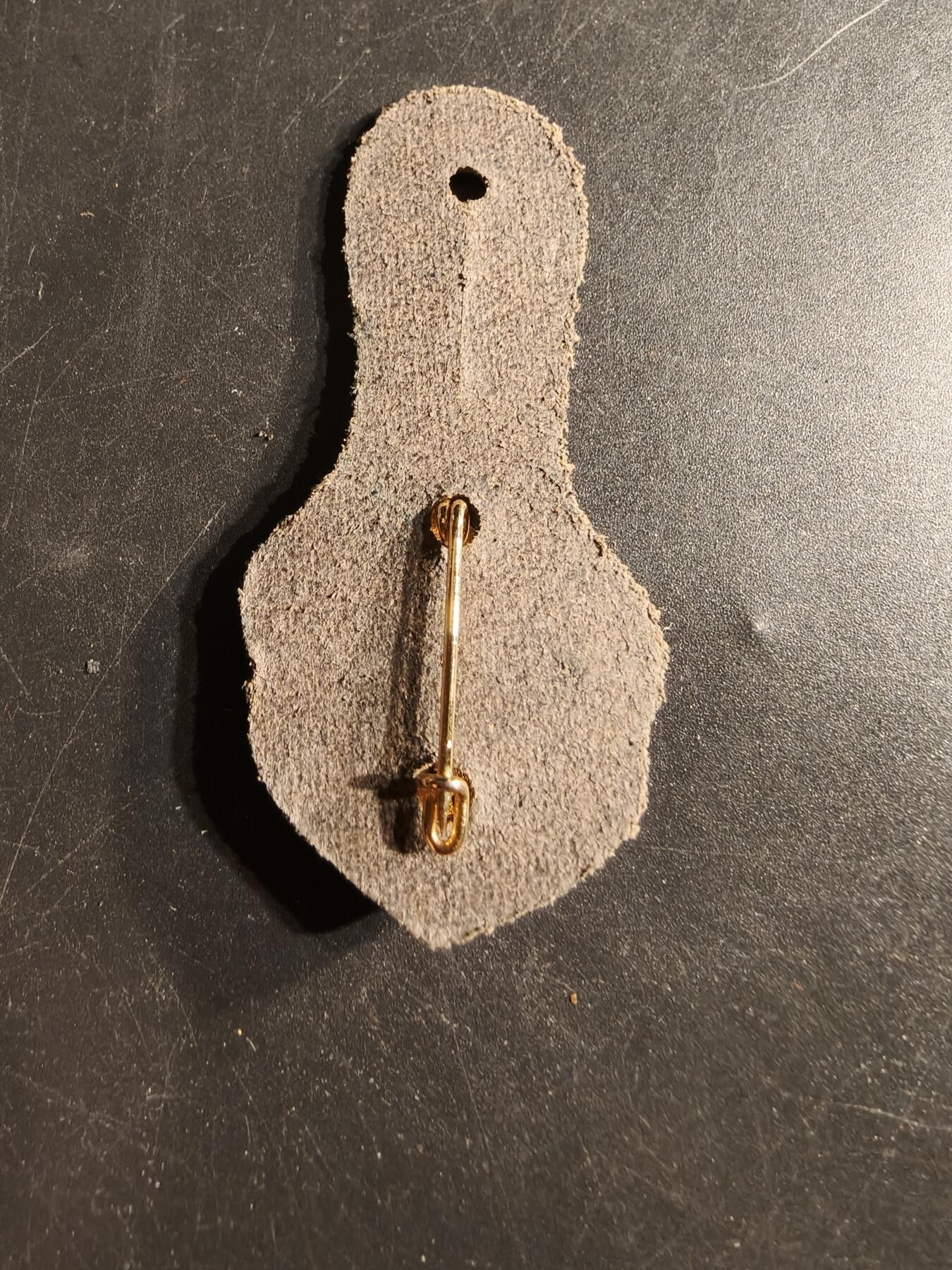 老王徽章第165期 法国乍得行军团证章 