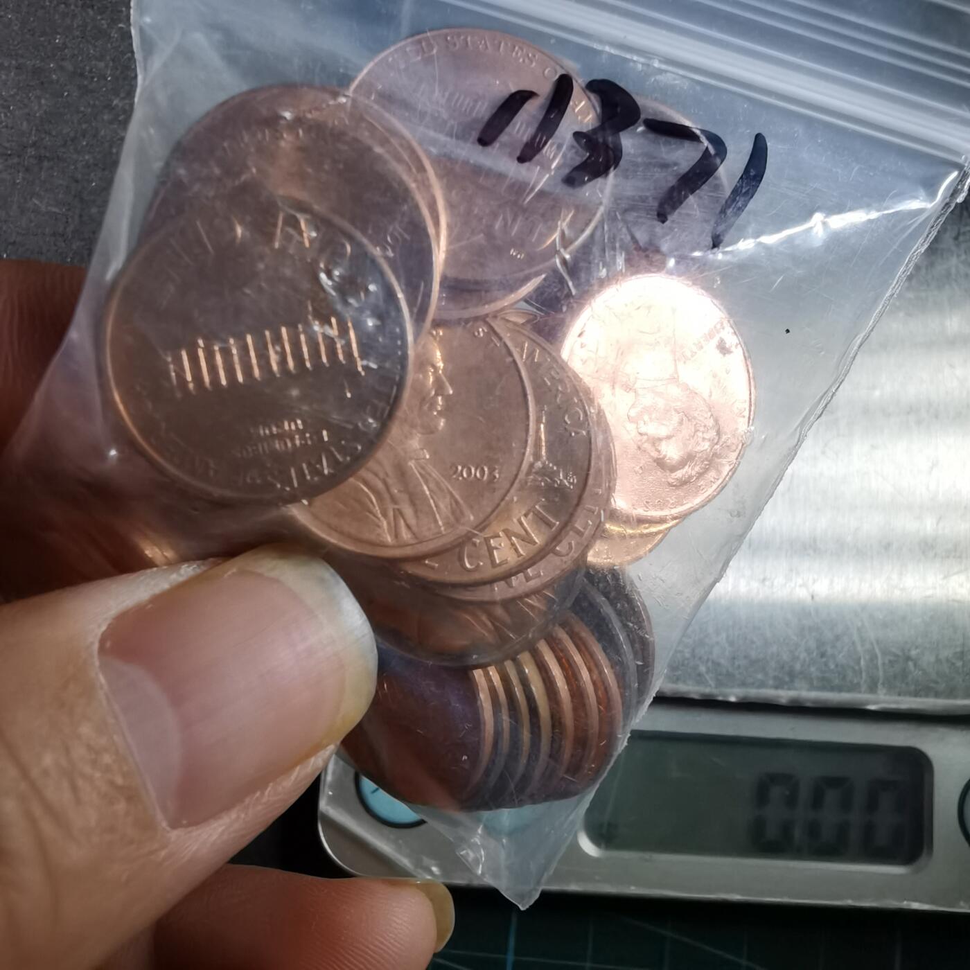 沼泽如烟--第911场 美分83克带袋