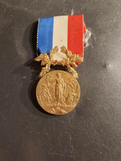 老王徽章第165期 -  法国金级内务部服役奖章