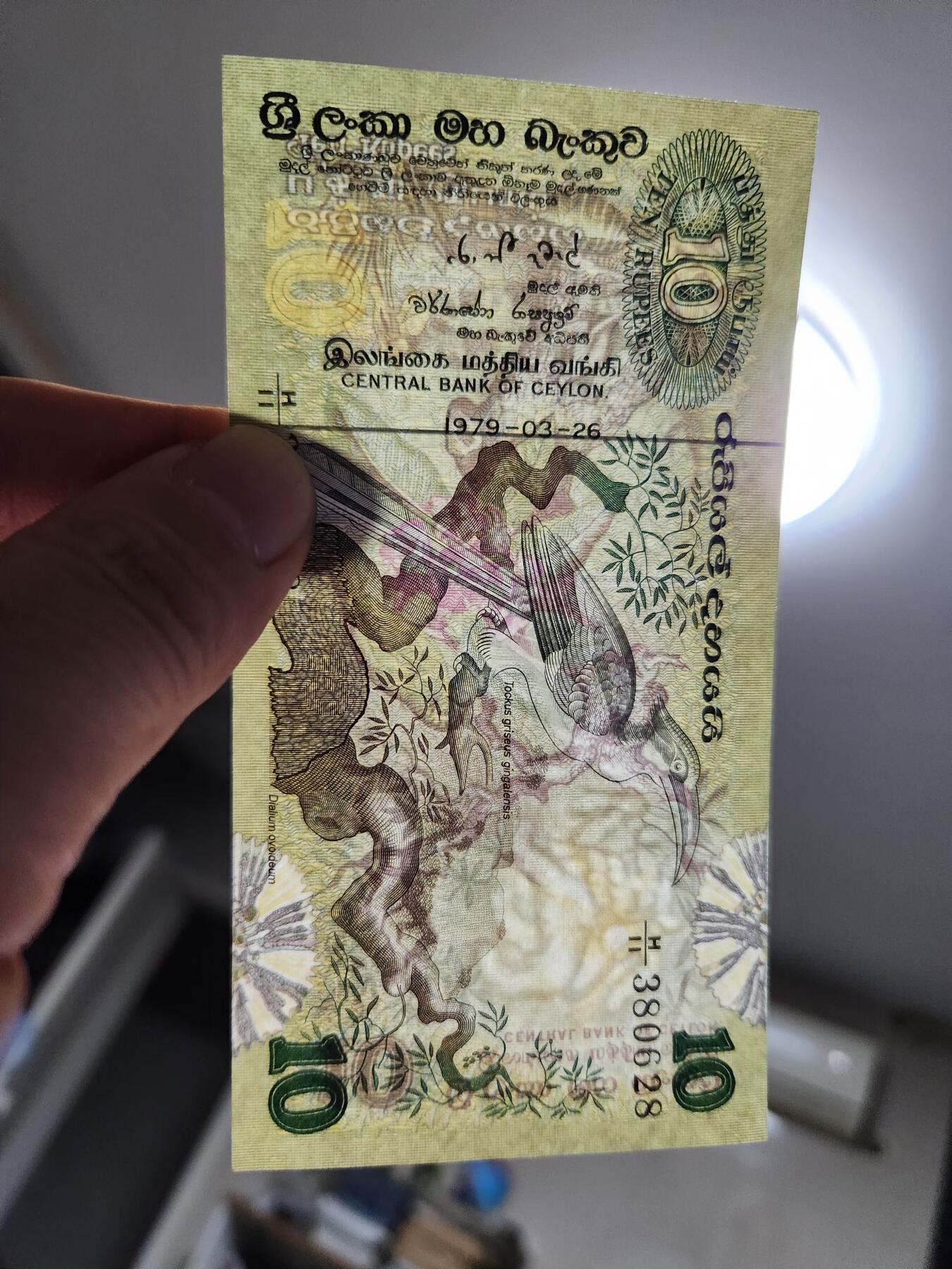 11月29号晚上8点 外国纸币自动截拍第64场