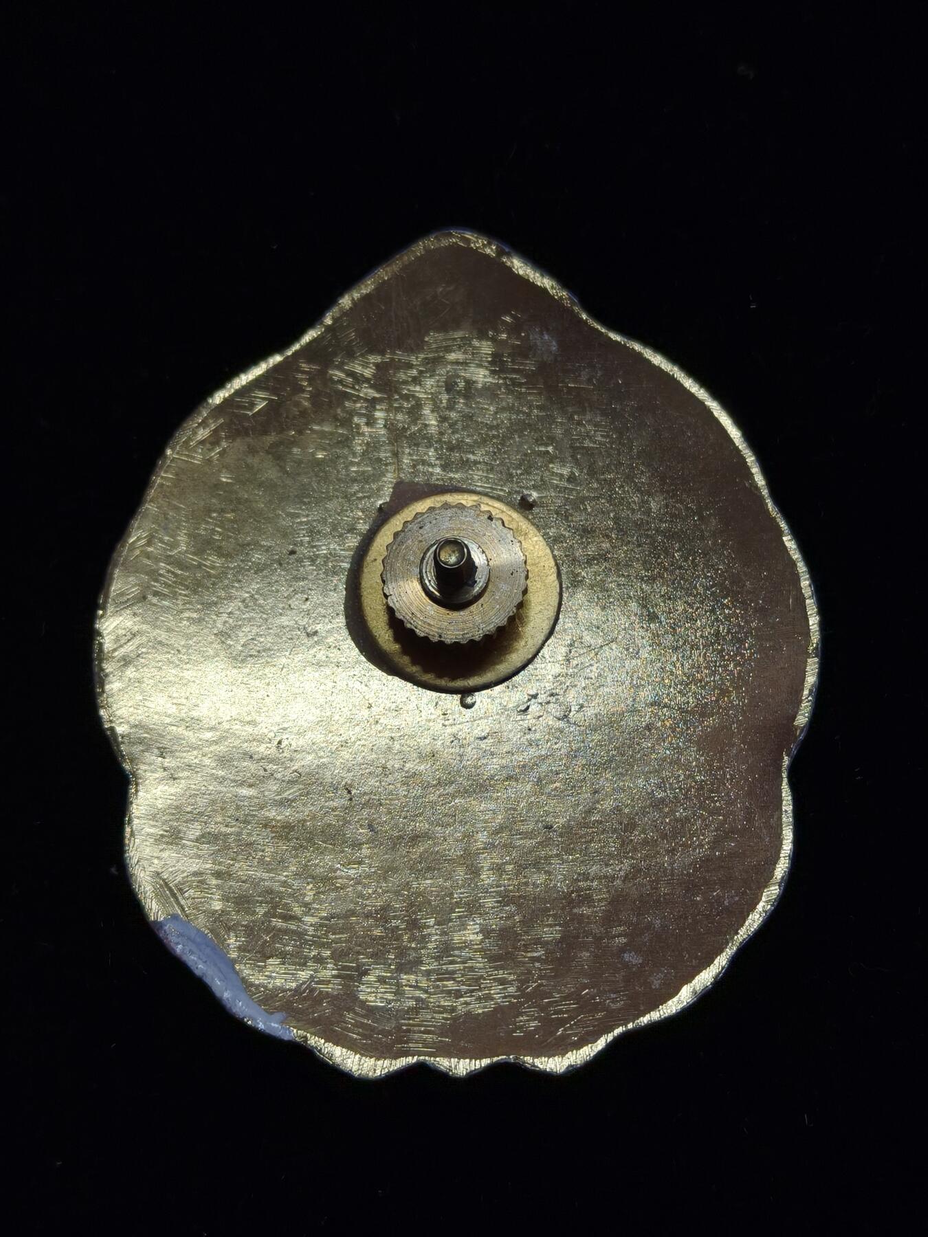 铭记历史 勿忘国耻 抗战胜利80周年精品专场 第二场 国军宪兵帽徽