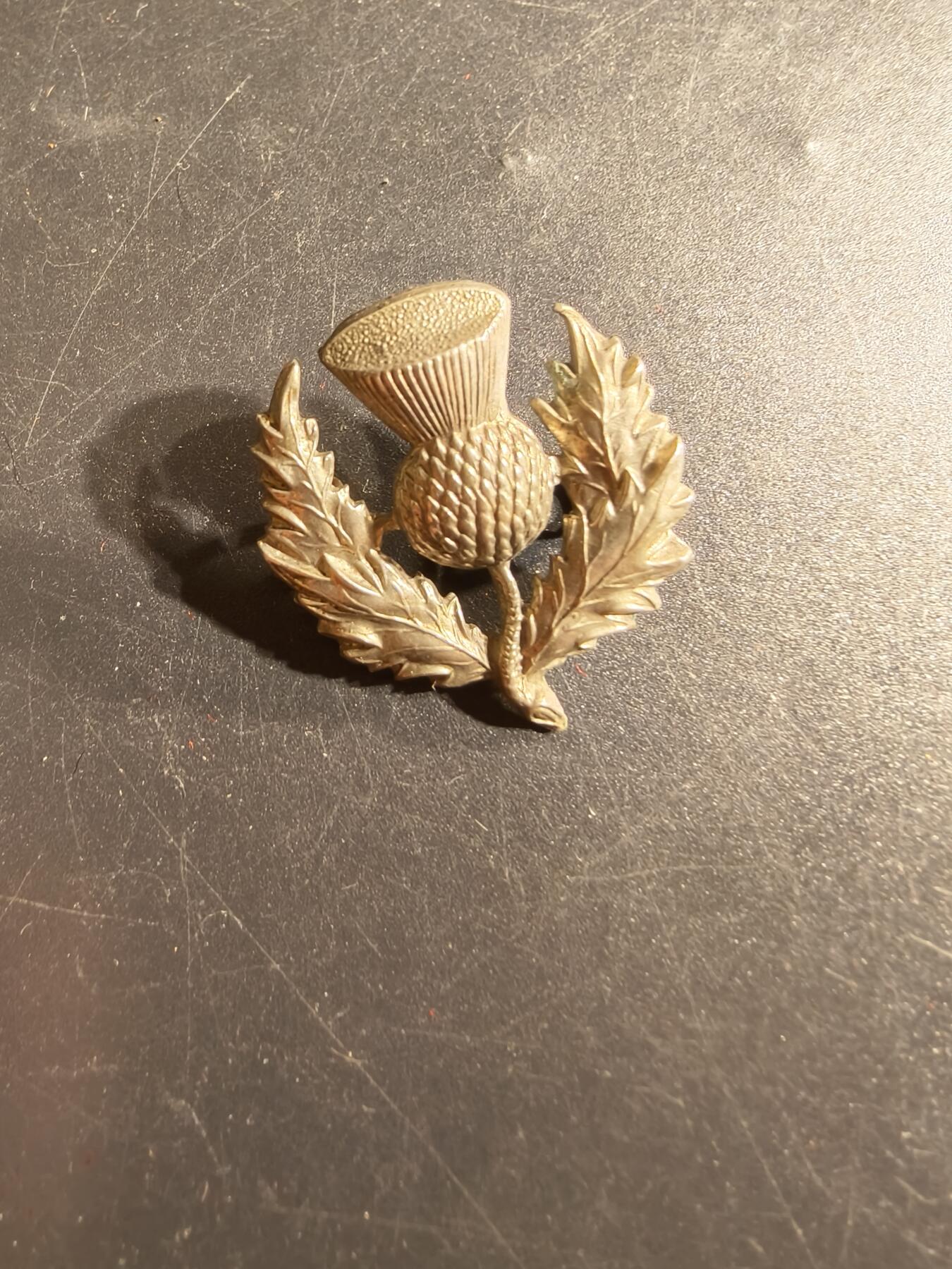 老王徽章第165期