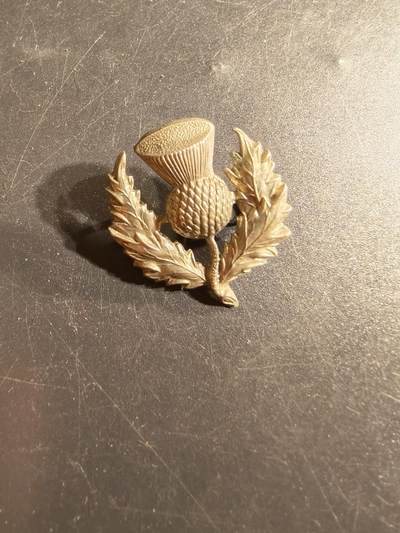 老王徽章第165期 - 英国皇家苏格兰预备团领章     一战时期 