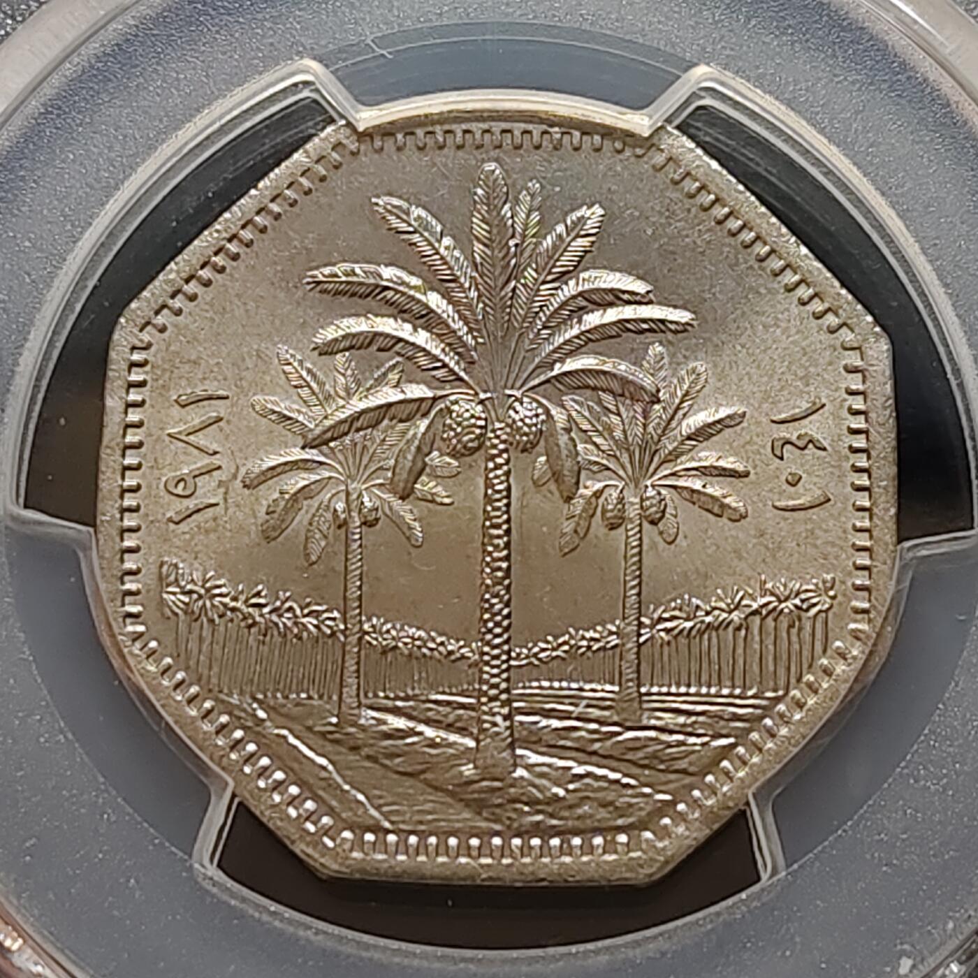 【全场包邮】纯粹捡漏拍481场（免费代拍第18场） 伊拉克1981年250菲尔-PCGS MS63