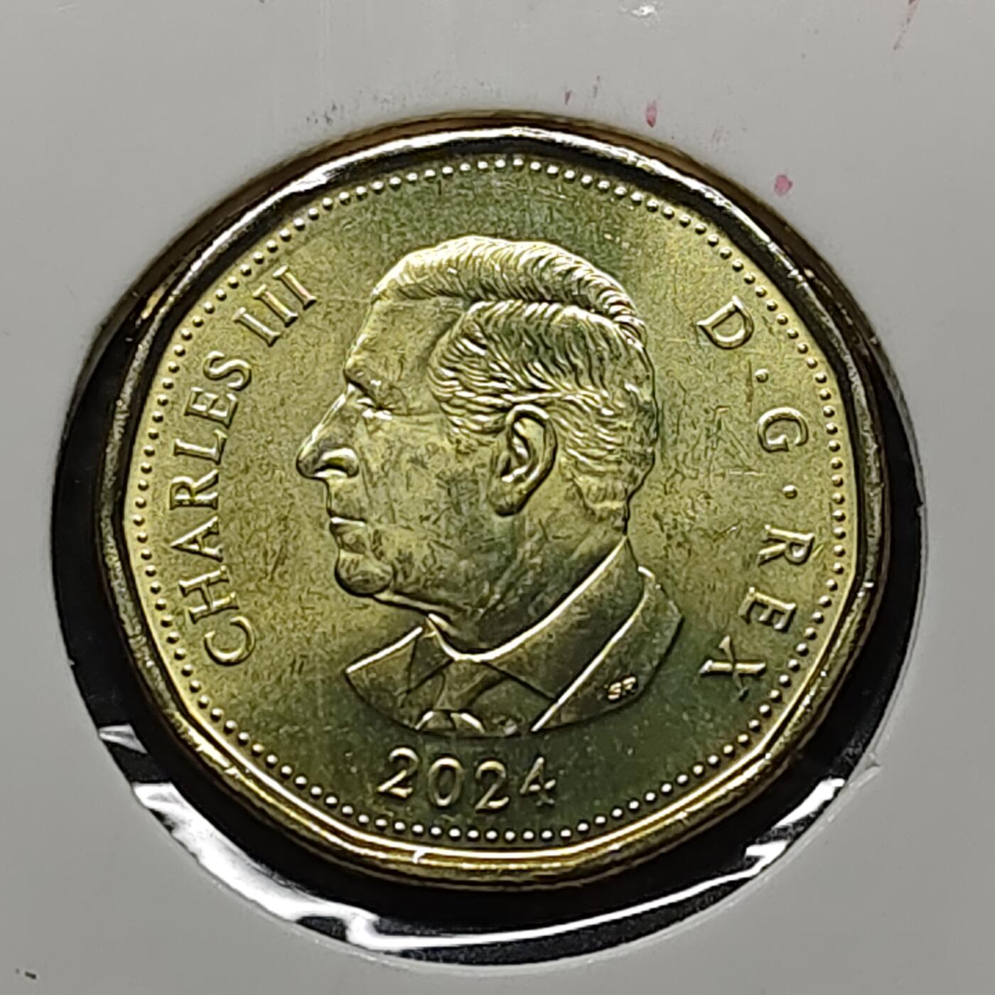 【全场包邮】纯粹捡漏拍480场（免费代拍第17场） 加拿大2024年1元儿童文学家L M·蒙哥马利诞生150周年彩色纪念币