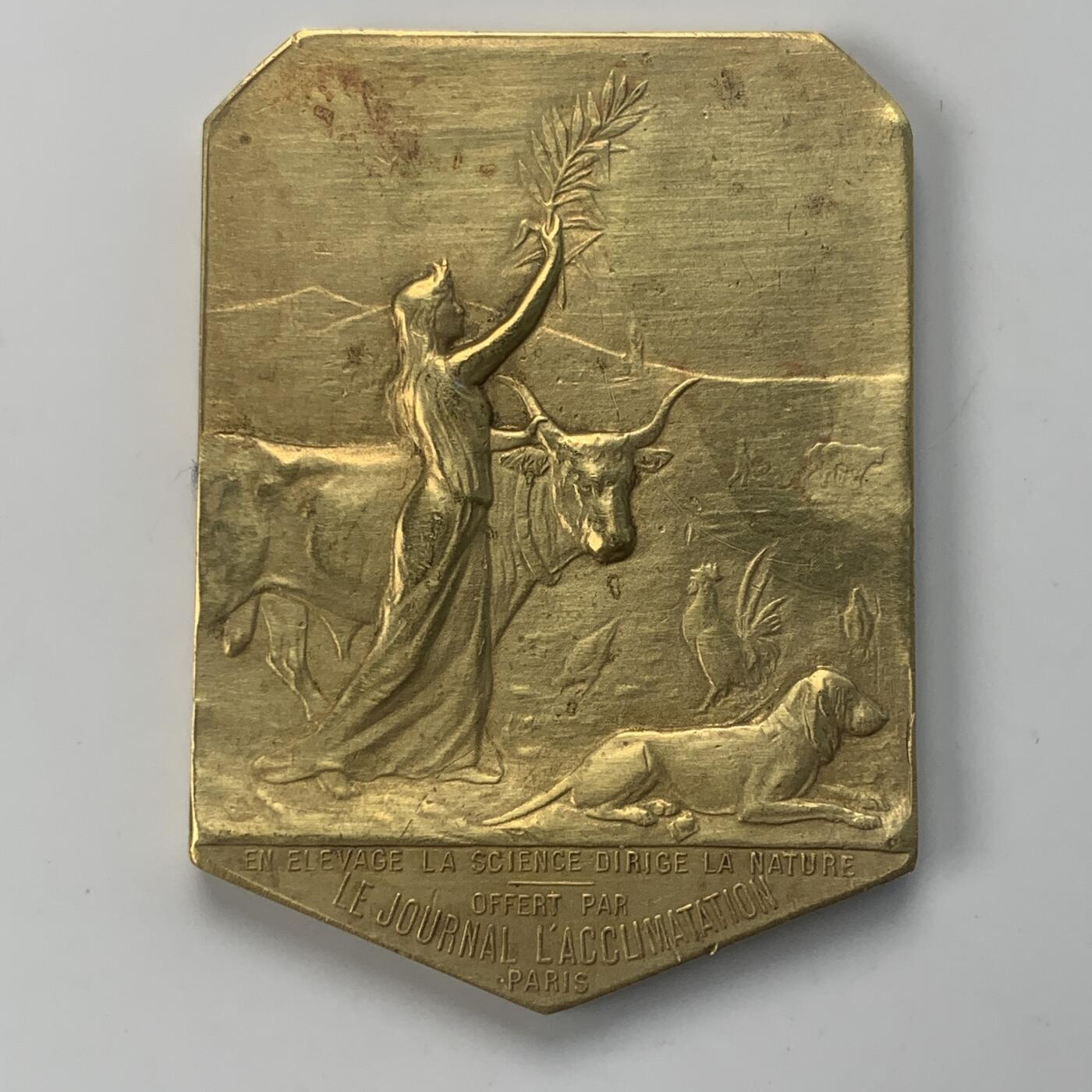 掌中浮雕-藏着的欧洲第043场