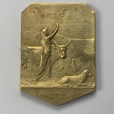 掌中浮雕-藏着的欧洲第043场 - 法国新艺术异性镀金铜章，37*50mm，40g