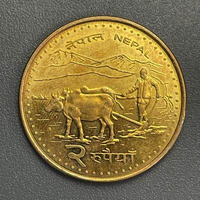 回流1123 - 全新尼泊尔2卢比 耕牛