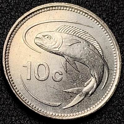 泉币菌-第136场-精品福利场（之前场次29日、30日发货，敬请谅解） - 。