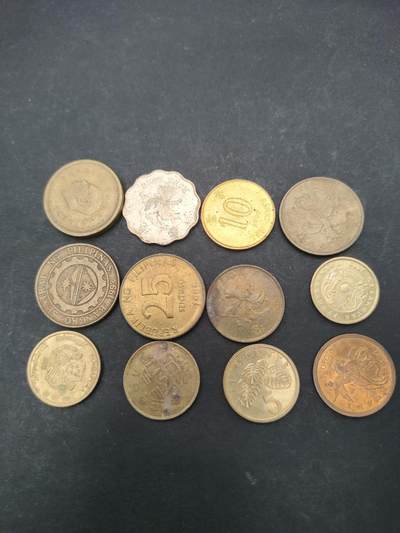 猩哥外币小铺➨【第203场】 - 钱币12个