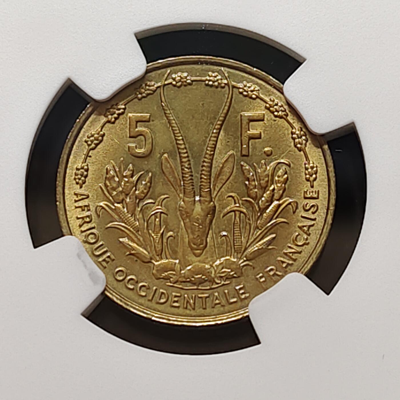 【全场包邮】纯粹捡漏拍481场（免费代拍第18场）