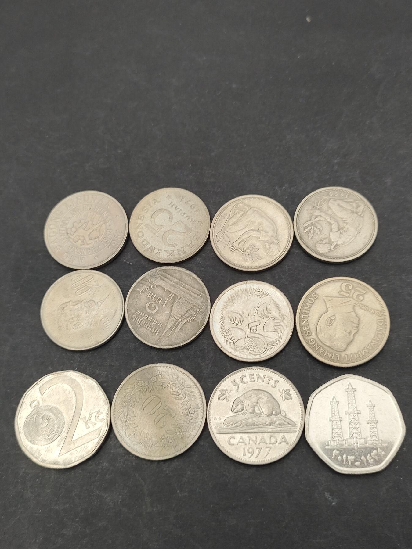 猩哥外币小铺➨【第203场】 钱币12个