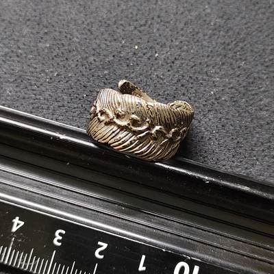 【全场包邮】纯粹捡漏拍480场（免费代拍第17场） - 【杂件】仿羽毛型指环