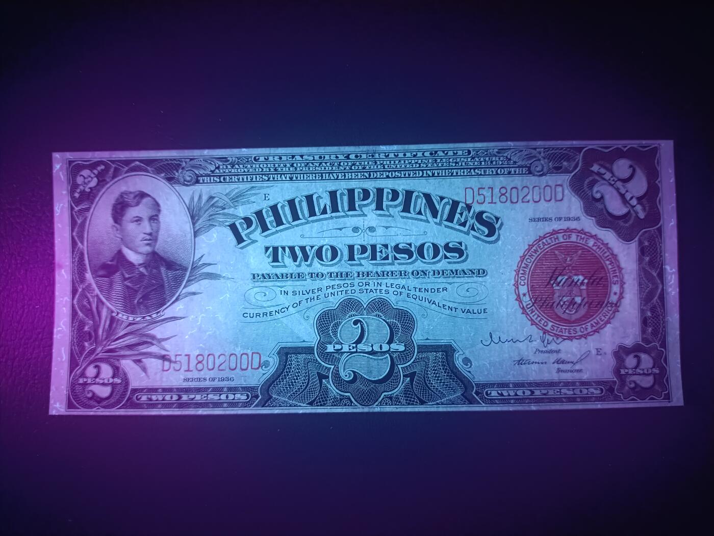 2025十一月第六期，总第204期