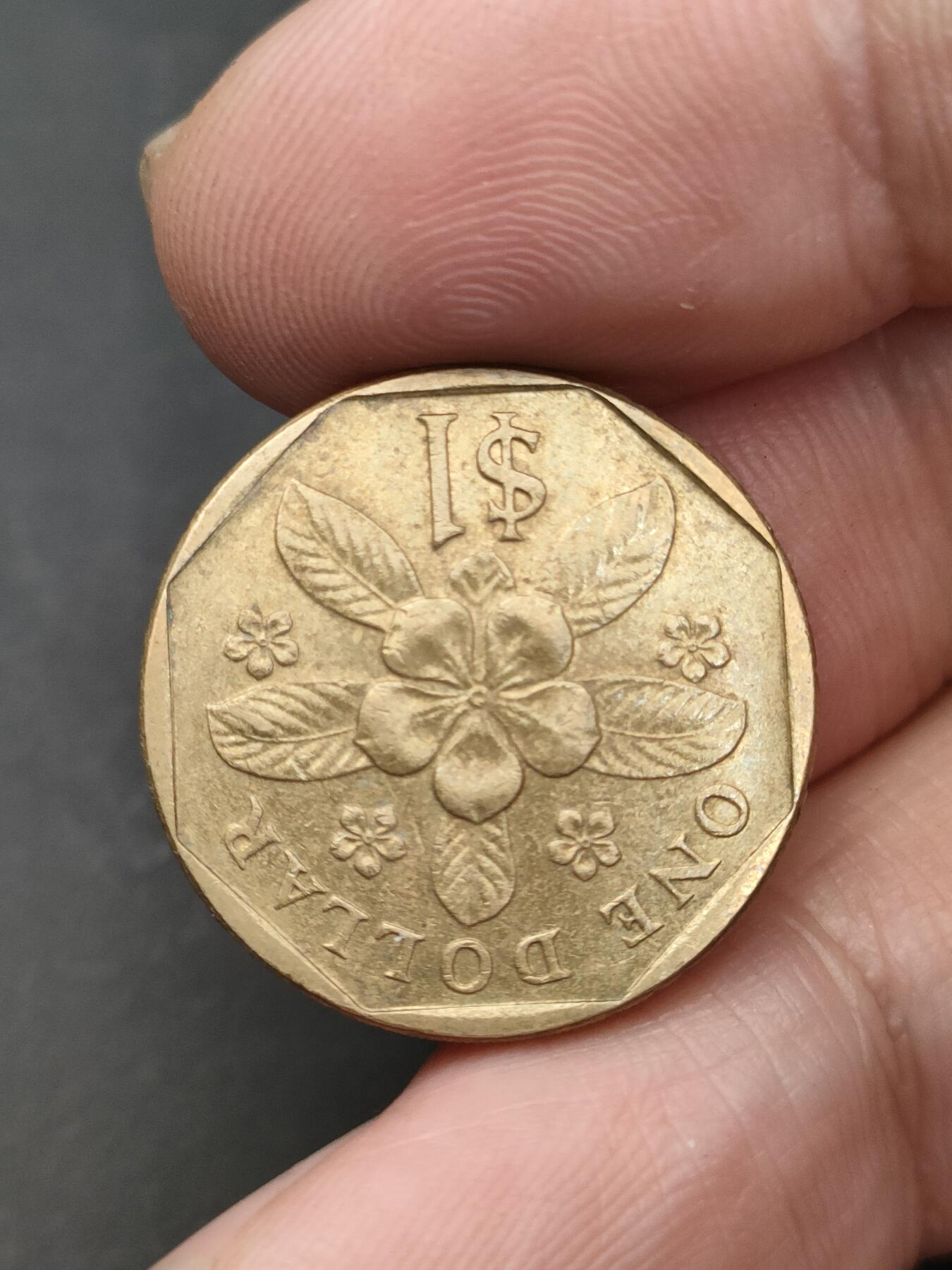 猩哥外币小铺➨【第203场】 新加坡