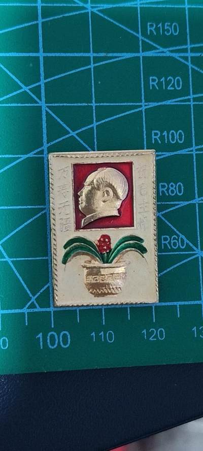 极美品小章 - 花盆章🔥🔥祝毛主席万寿无疆🔥🔥毛主席像章，可佩戴