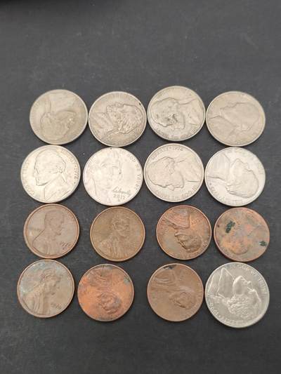 猩哥外币小铺➨【第203场】 - 美国16个