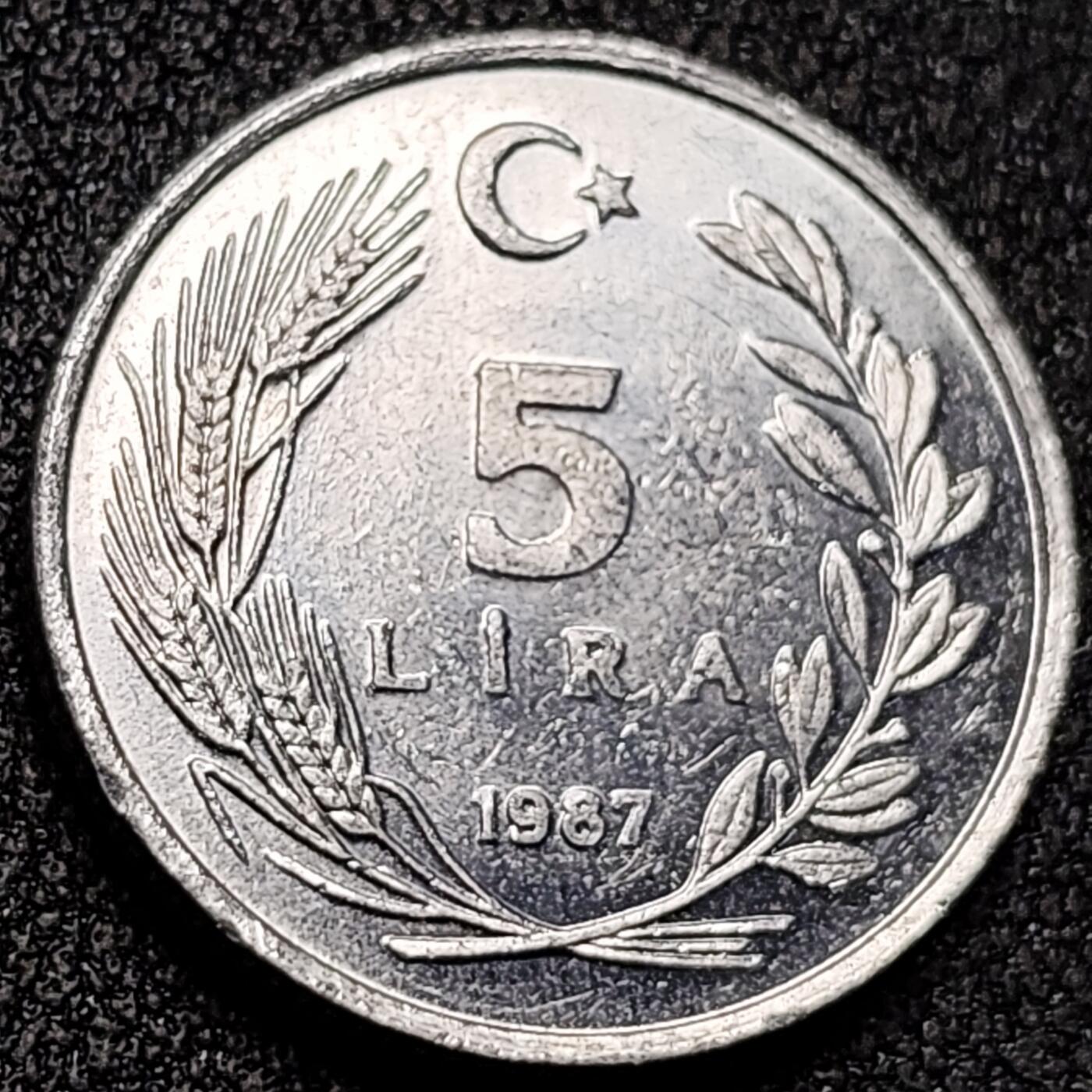 泉币菌-第136场-精品福利场（之前场次29日、30日发货，敬请谅解） 。