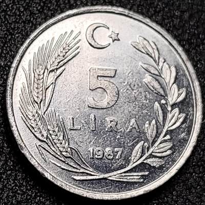 泉币菌-第136场-精品福利场（之前场次29日、30日发货，敬请谅解） - 。