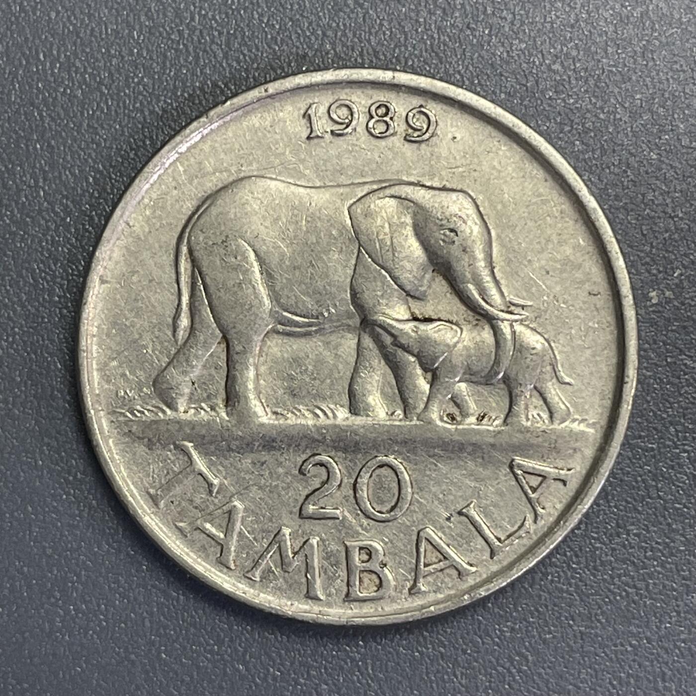 回流1123 马拉维1989年20坦巴拉 大象🐘