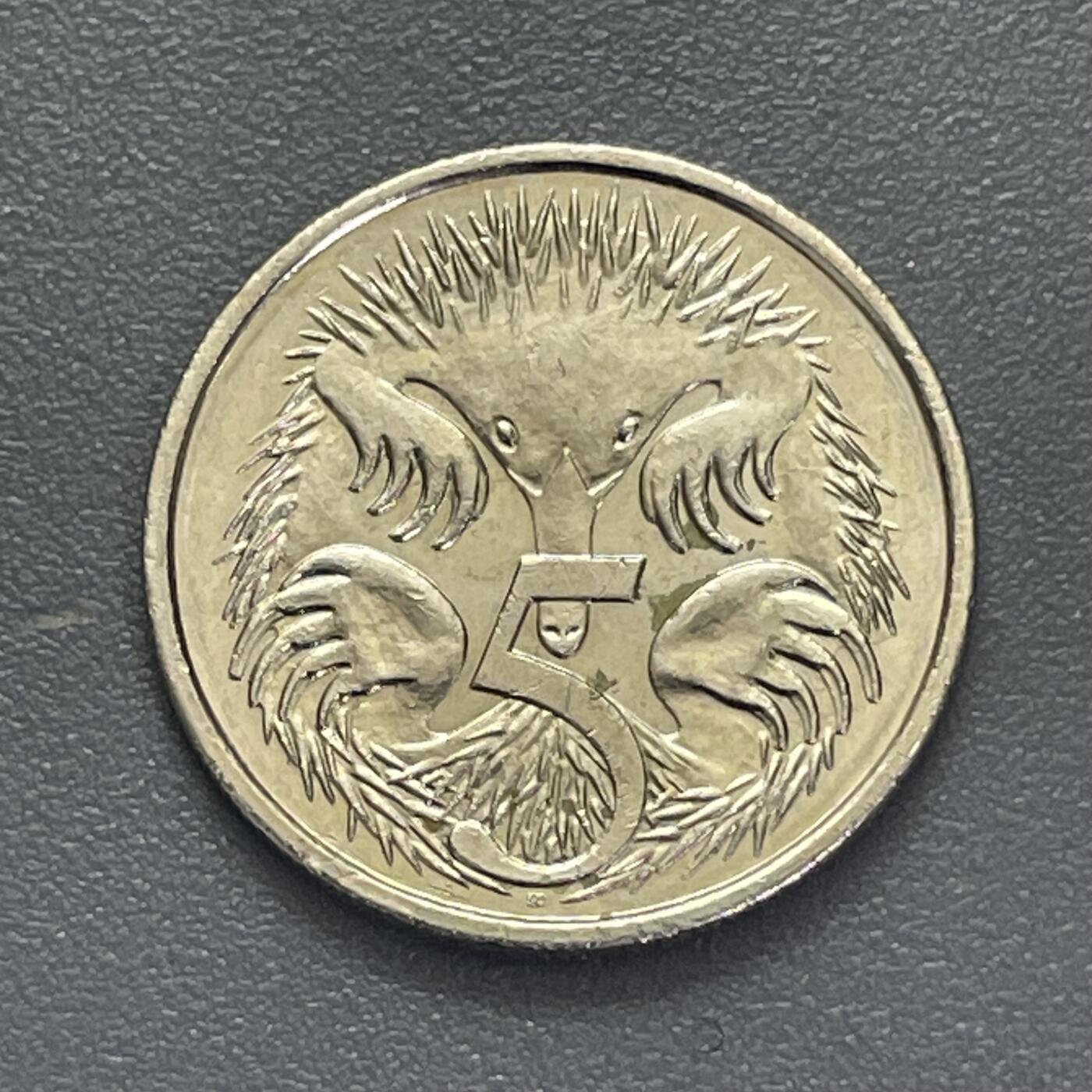 回流1123 澳大利亚2024年5分 查尔斯3世 针鼹