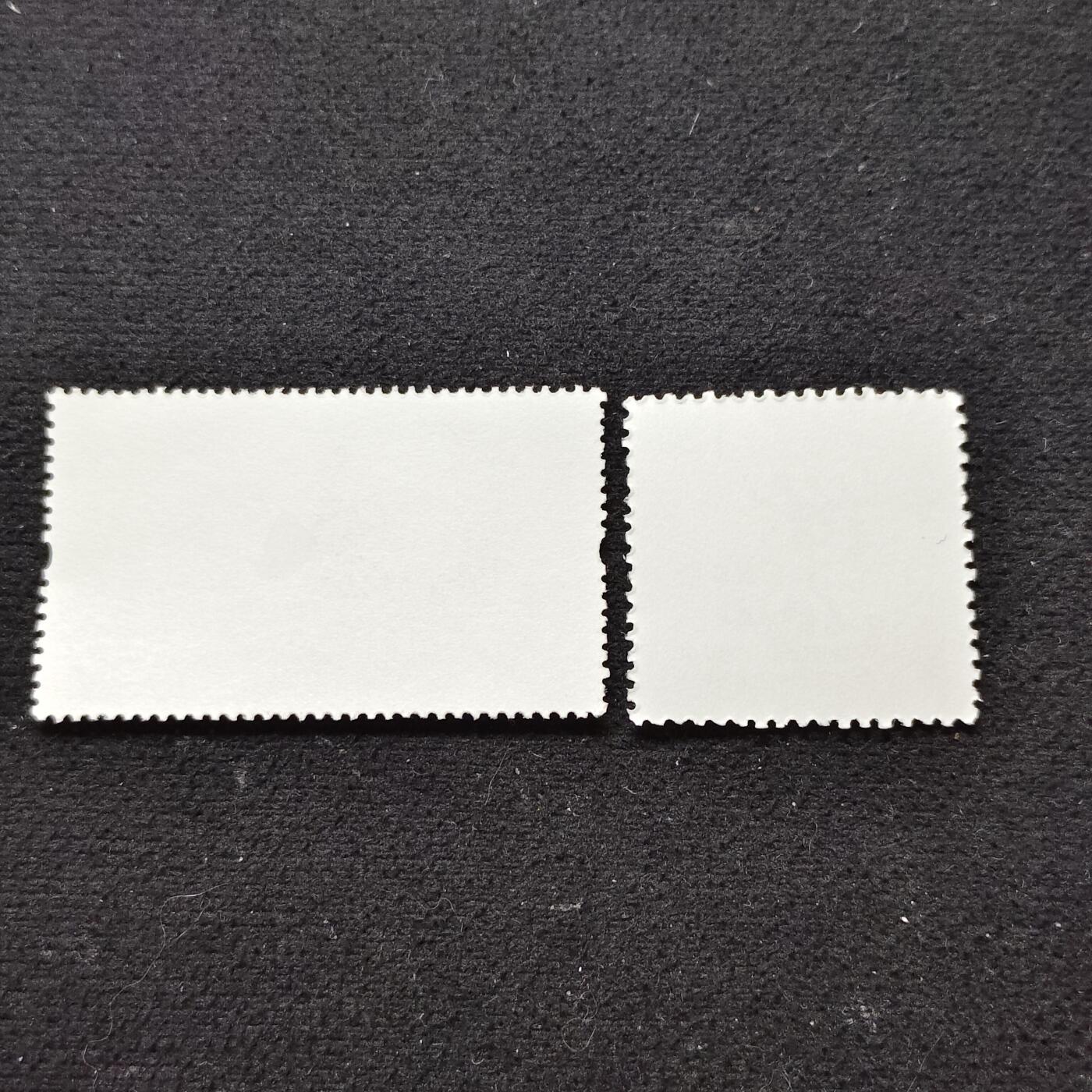 【全场包邮】纯粹捡漏拍480场（免费代拍第17场）