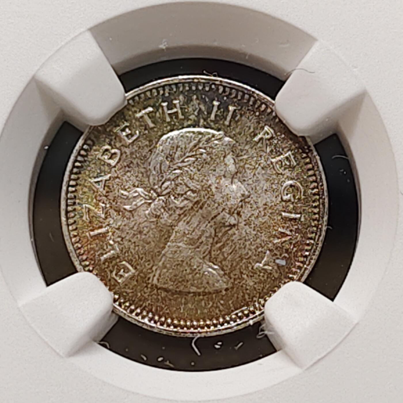 【全场包邮】纯粹捡漏拍481场（免费代拍第18场）