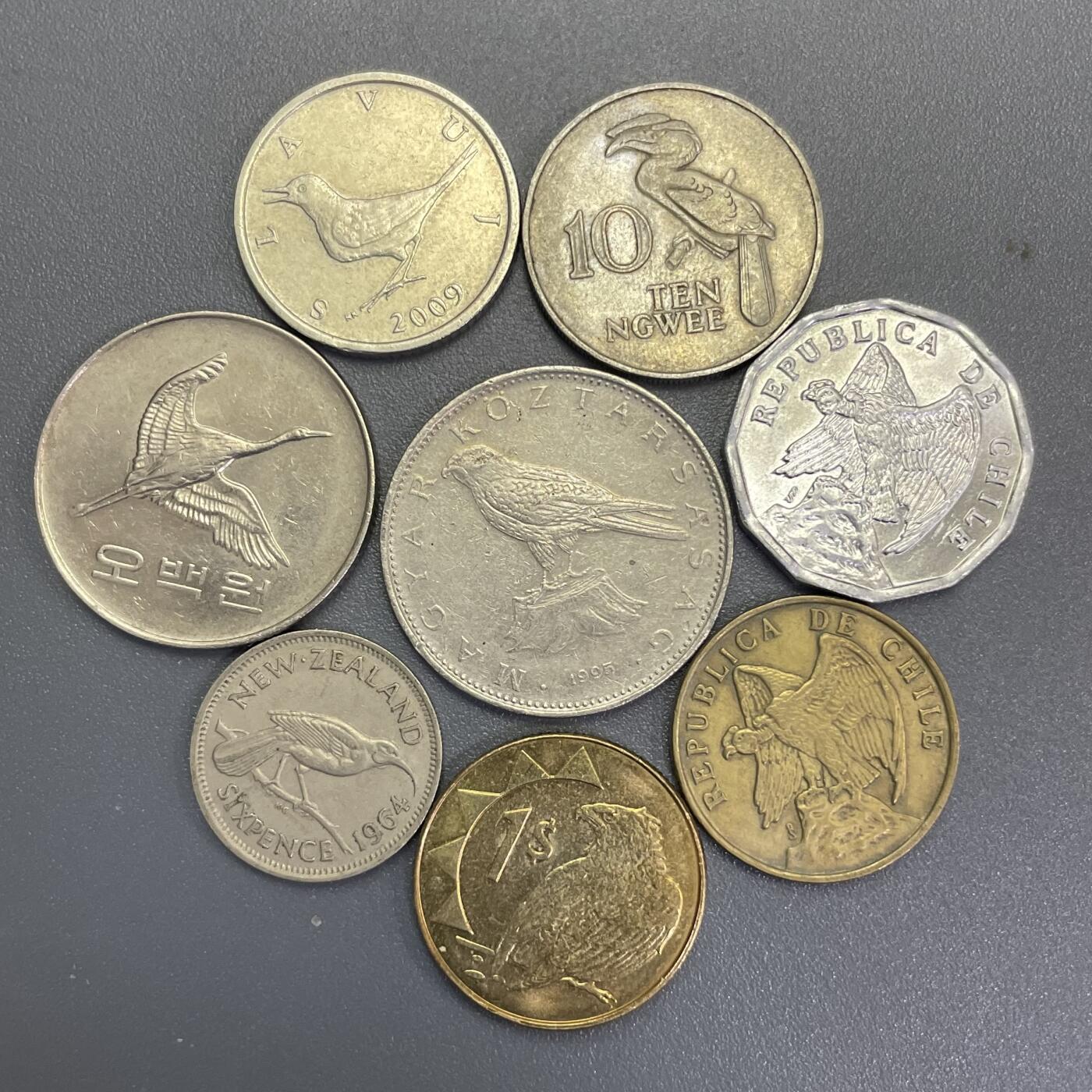 回流1123 各国鸟类8枚