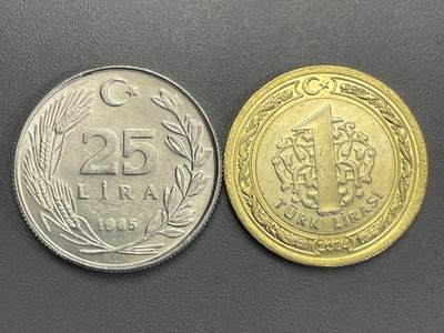 回流1123 - 全新土耳其两枚