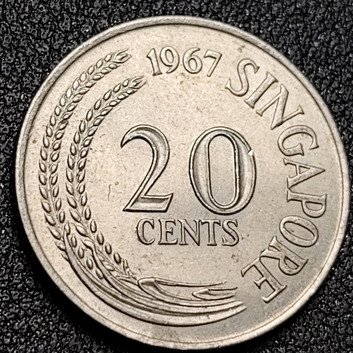 泉币菌-第136场-精品福利场（之前场次29日、30日发货，敬请谅解） 。