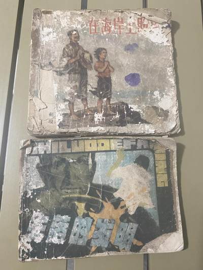 江南站旧书、连环画专场 - 连环画2本品弱