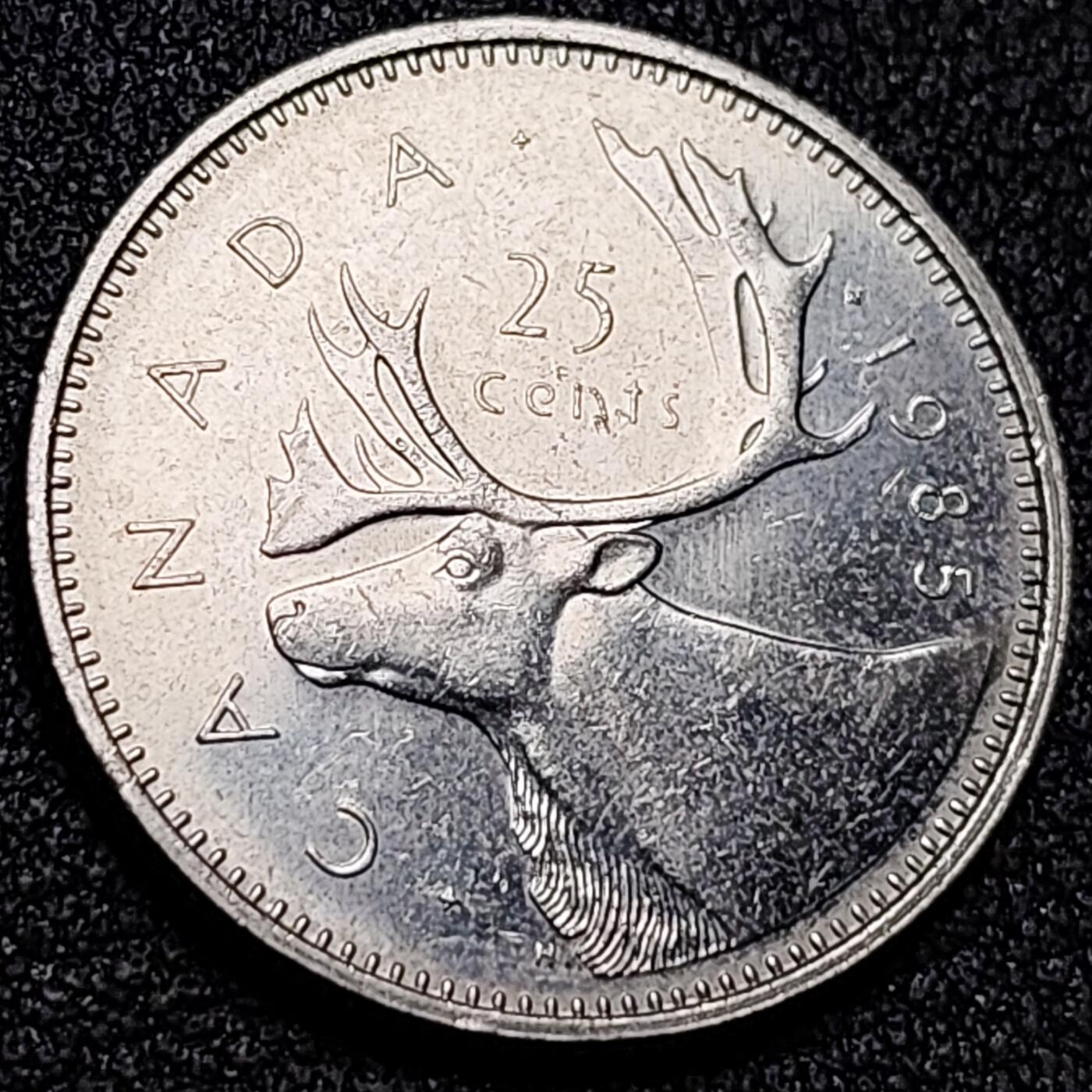 泉币菌-第136场-精品福利场（之前场次29日、30日发货，敬请谅解） 。