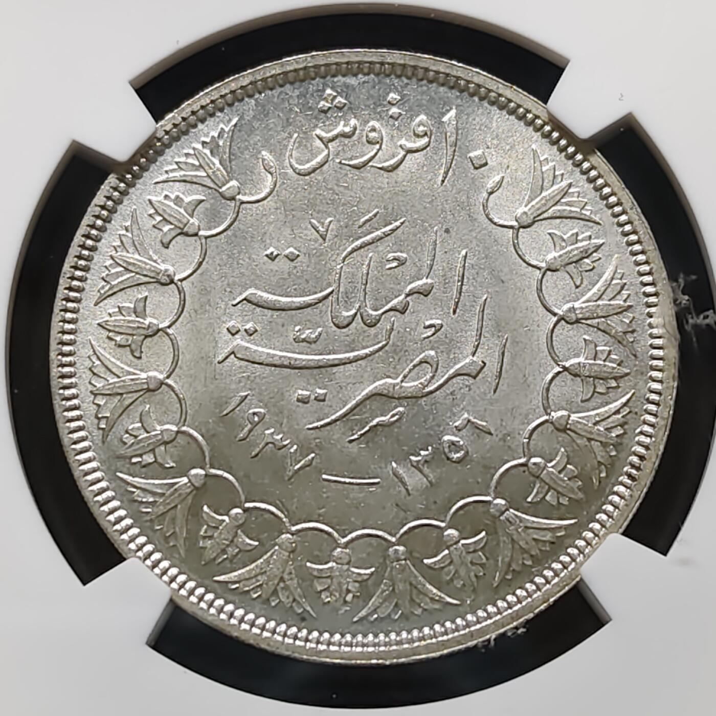 【全场包邮】纯粹捡漏拍481场（免费代拍第18场）